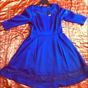 🌺Brand New🌺 Lane Bryant Party/Sunday Dress